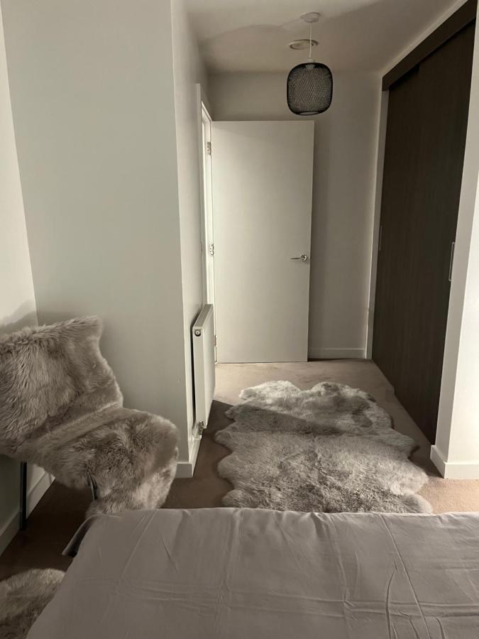 Luxurious Dlr Apartment Londra Dış mekan fotoğraf