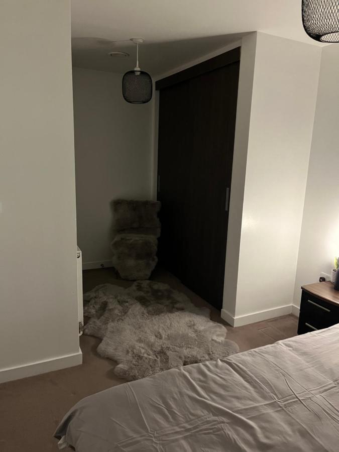 Luxurious Dlr Apartment Londra Dış mekan fotoğraf